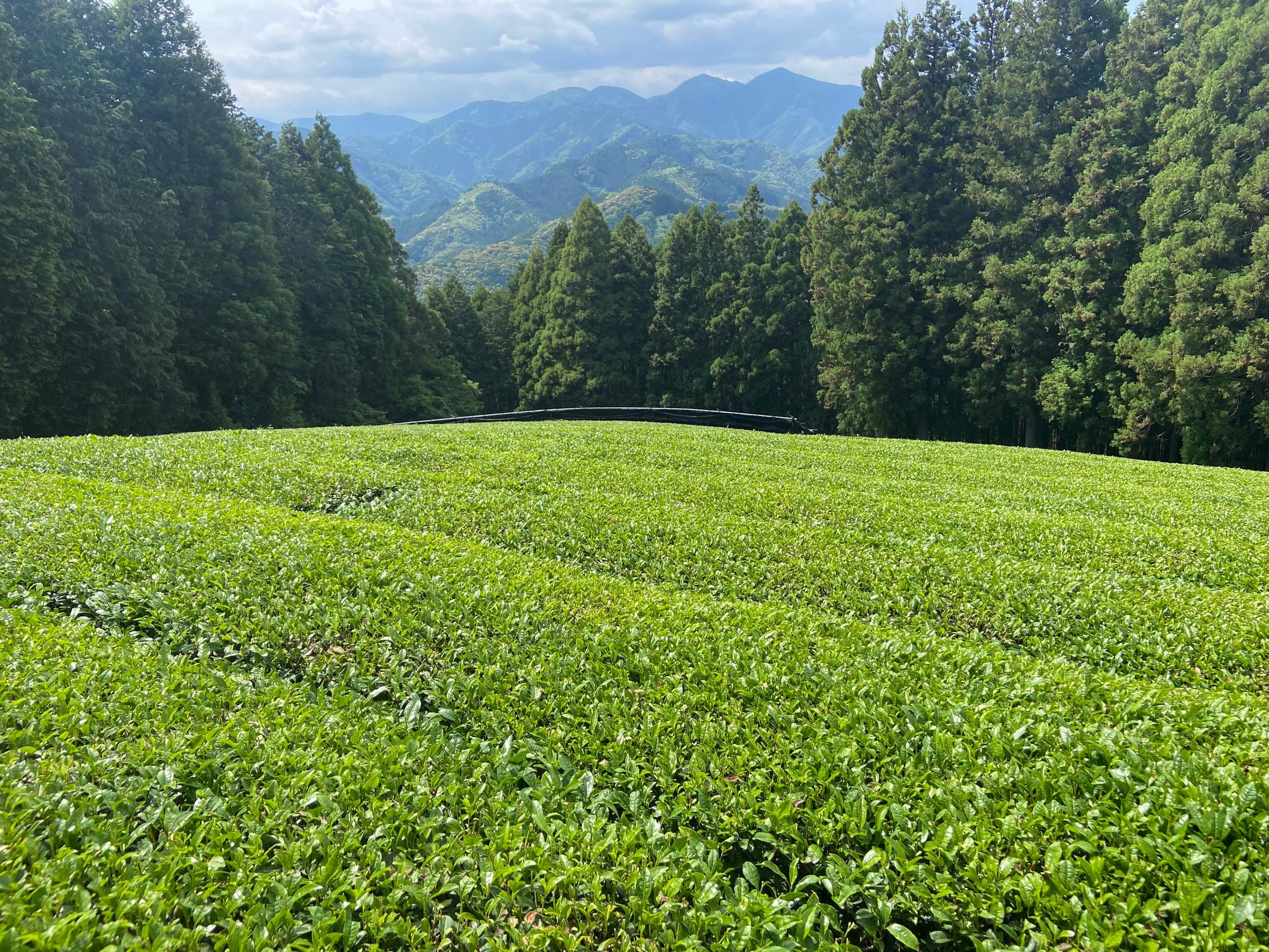 The landscape of Asahina, Fujieda